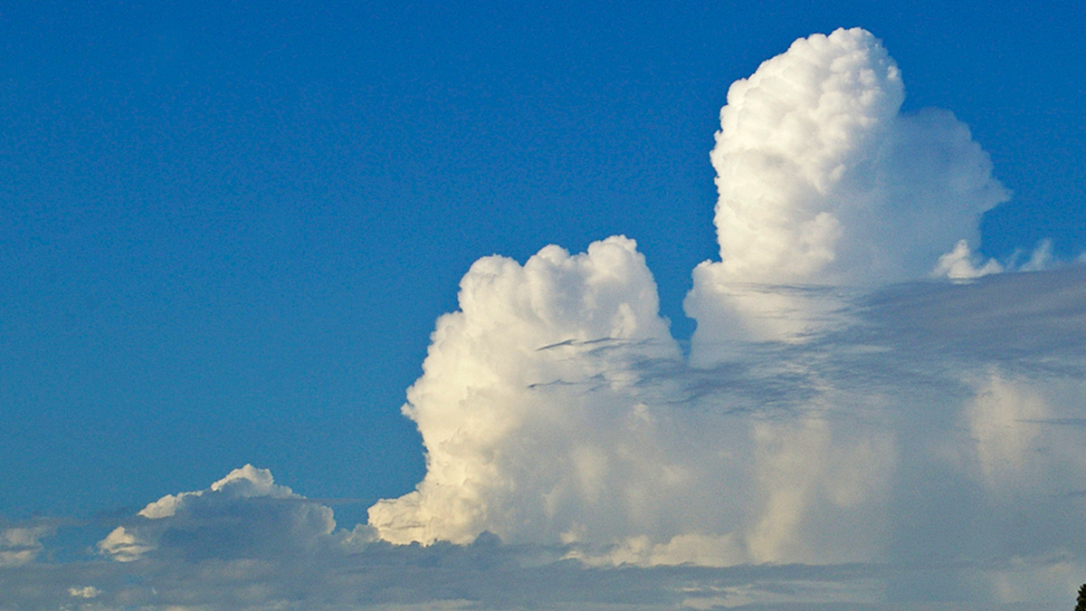 Cumulus_congestus_cloud.webp